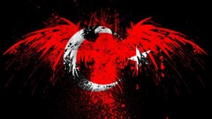 artwork grunge flag Animals eagle Simple Background Turkey Birds