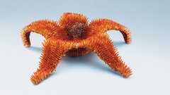 artwork Pencils sculpture