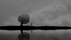 artwork Trees sky monochrome