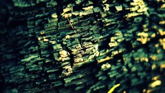 ash Wood texture macro Green
