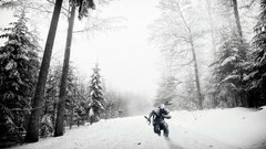 Assassin's Creed forest winter video games