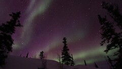 aurora borealis landscape snow Trees night national geographic