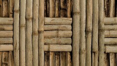 bamboo Wood texture