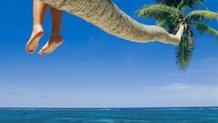 beach feet tropical palm trees Sea holiday foot sole