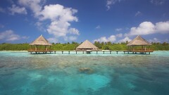 beach Island tropical