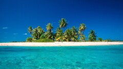 beach Island tropical