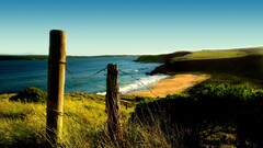 beach landscape Lake nature