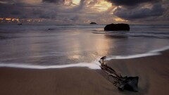 beach landscape Sea nature sky