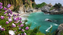 beach nature Flowers waterfall Plants