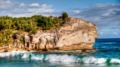 beach palm trees cliff Hawaii coast waves