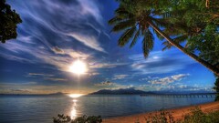 beach palm trees nature pier sky