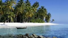 beach palm trees tropical boat water outdoors