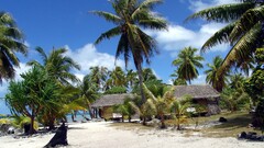 beach sand palm trees hut daylight