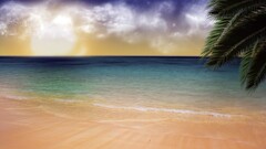 beach sand palm trees Sea sky
