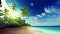 beach sand palm trees tropical