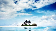 beach sand palm trees tropical sky clouds Sea nature
