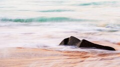 beach Sea nature stones