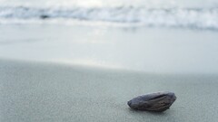 beach stone nature sand water