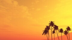 beach sunset palm trees