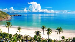 beach tropical palm trees