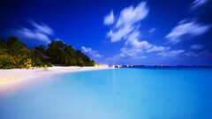 beach tropical Sea palm trees sky