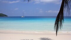 beach tropical sky Sea boat