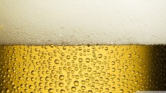 beer alcohol bubble