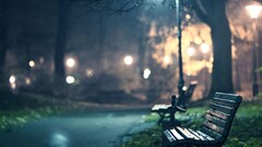 bench lantern night lights Park