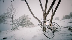 bicycle snow winter Trees vehicle