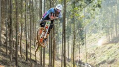biker Sport jumping Trees
