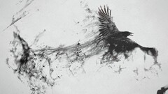 Birds raven artwork Animals monochrome wings ink digital art