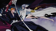 bleach Anime kurosaki ichigo kuchiki rukia