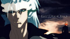 bleach grimmjow jaegerjaquez kurosaki ichigo Espada animal ears