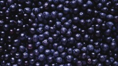 blueberries food Berries purple blue macro top view