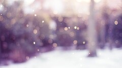 blurred winter bokeh circle lights snow
