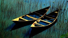 boat water Plants vehicle nature