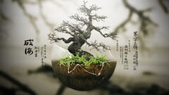 Bonsai Trees digital art Plants nature