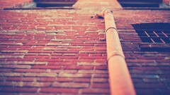 Bricks architecture window worm's eye view warm colors wall