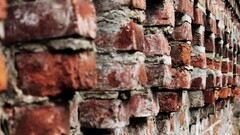 Bricks wall texture