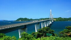 Bridge architecture construction water Plants