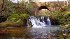 Bridge water waterfall