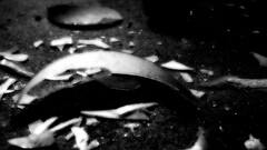 broken black broken glass monochrome