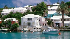 building boat water palm trees