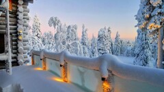 building winter lights Trees snow clear sky