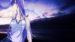 busujima saeko highschool of the dead anime girls purple hair