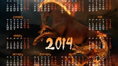 Calendar 2014 (Year) Russian horse Animals Mammals numbers