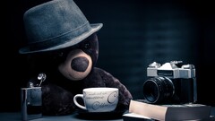 camera alcohol coffee hat teddy bears Books