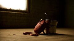 camping indoors wooden surface