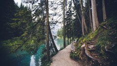 Canada pathway Trees outdoors nature