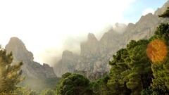 canyon Trees cliff mist Corsica